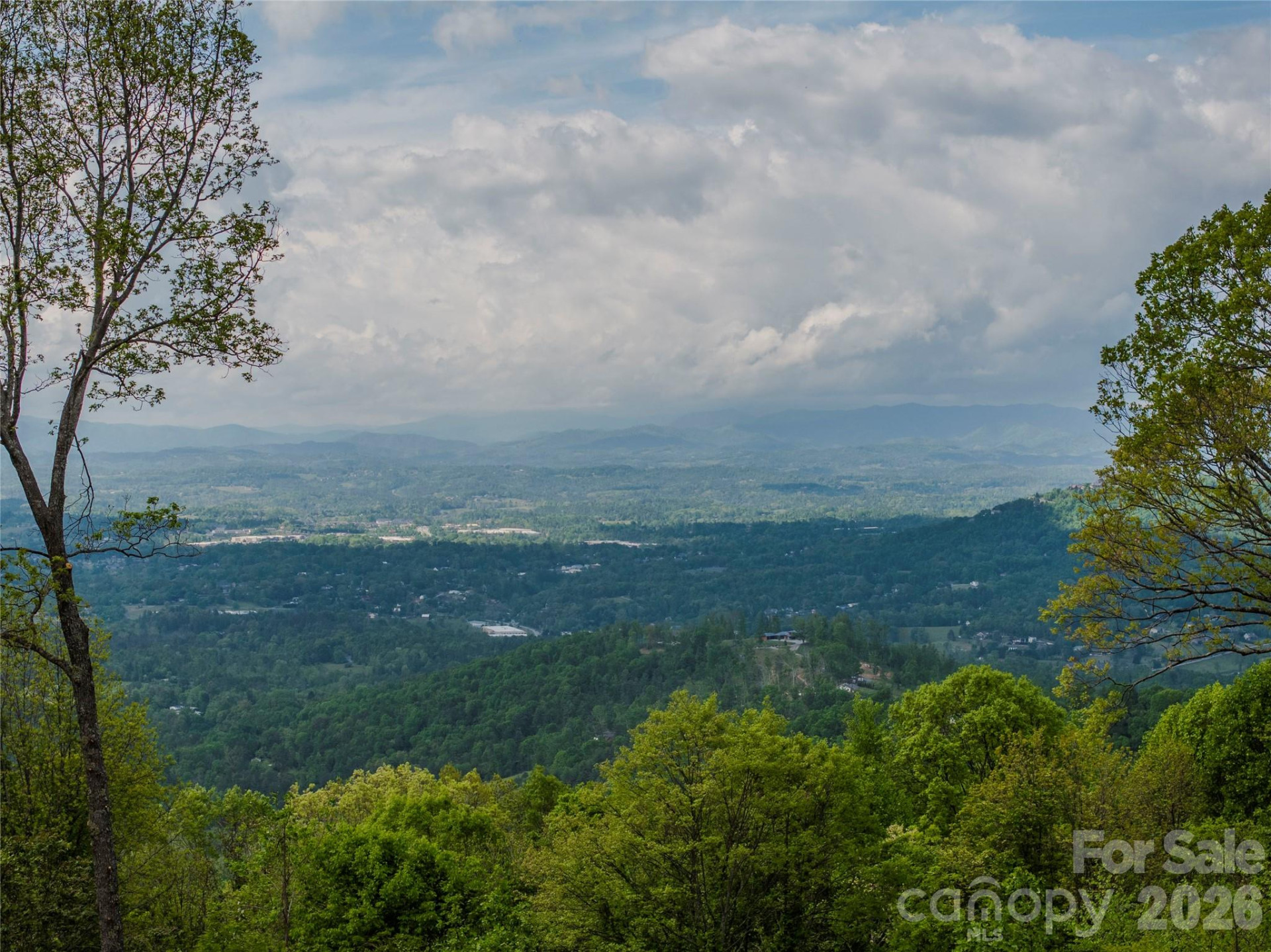 700 Elk Mountain Scenic Highway - Photo 13