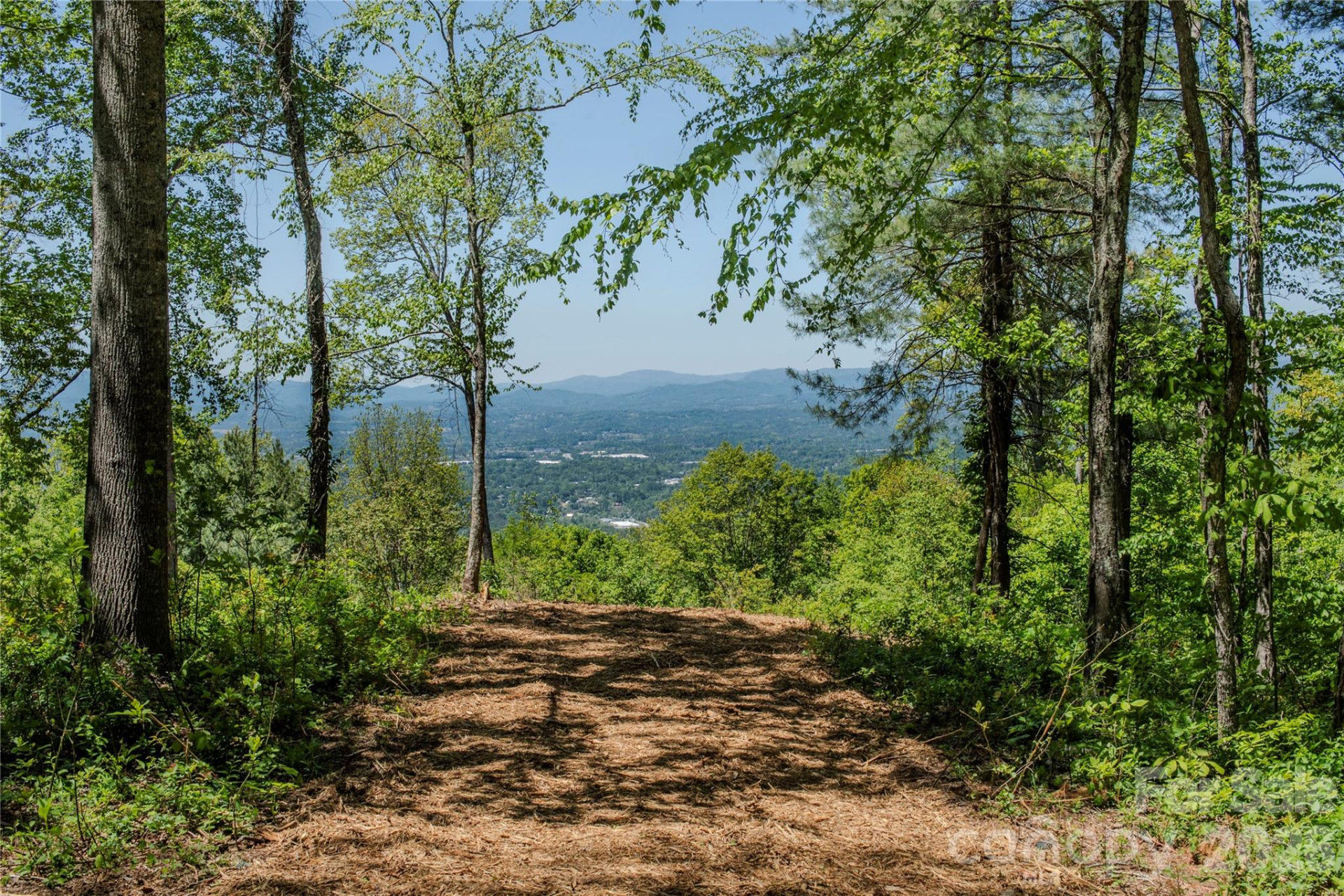 700 Elk Mountain Scenic Highway - Photo 3