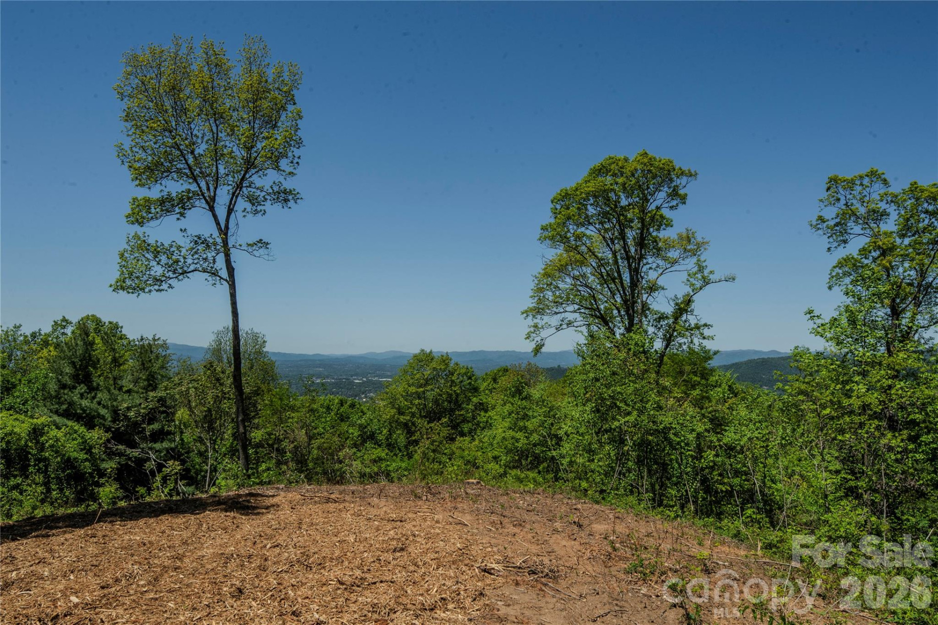 700 Elk Mountain Scenic Highway - Photo 4