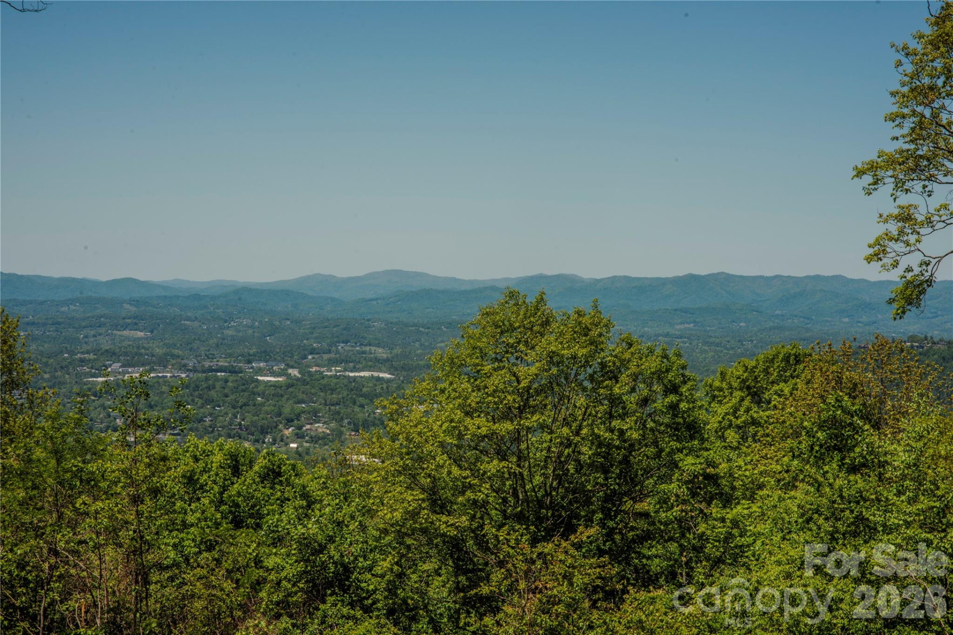 700 Elk Mountain Scenic Highway - Photo 5