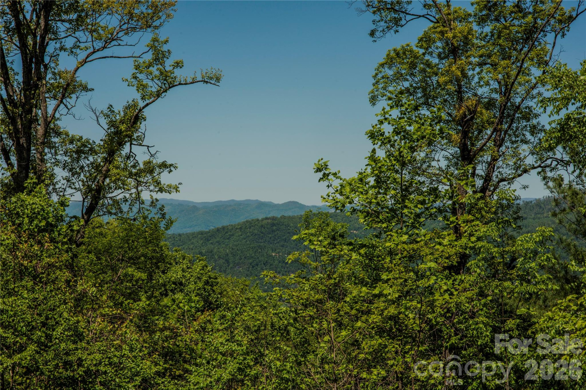 700 Elk Mountain Scenic Highway - Photo 6