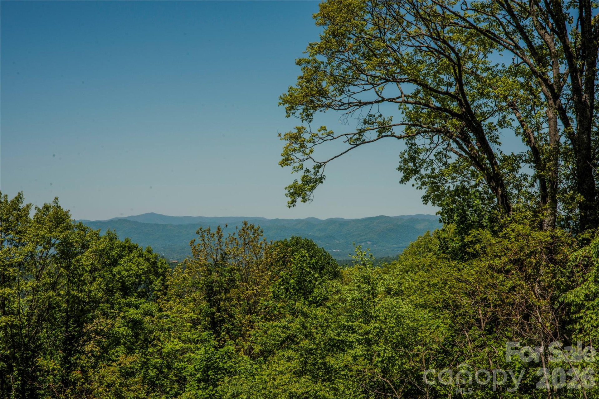 700 Elk Mountain Scenic Highway - Photo 7