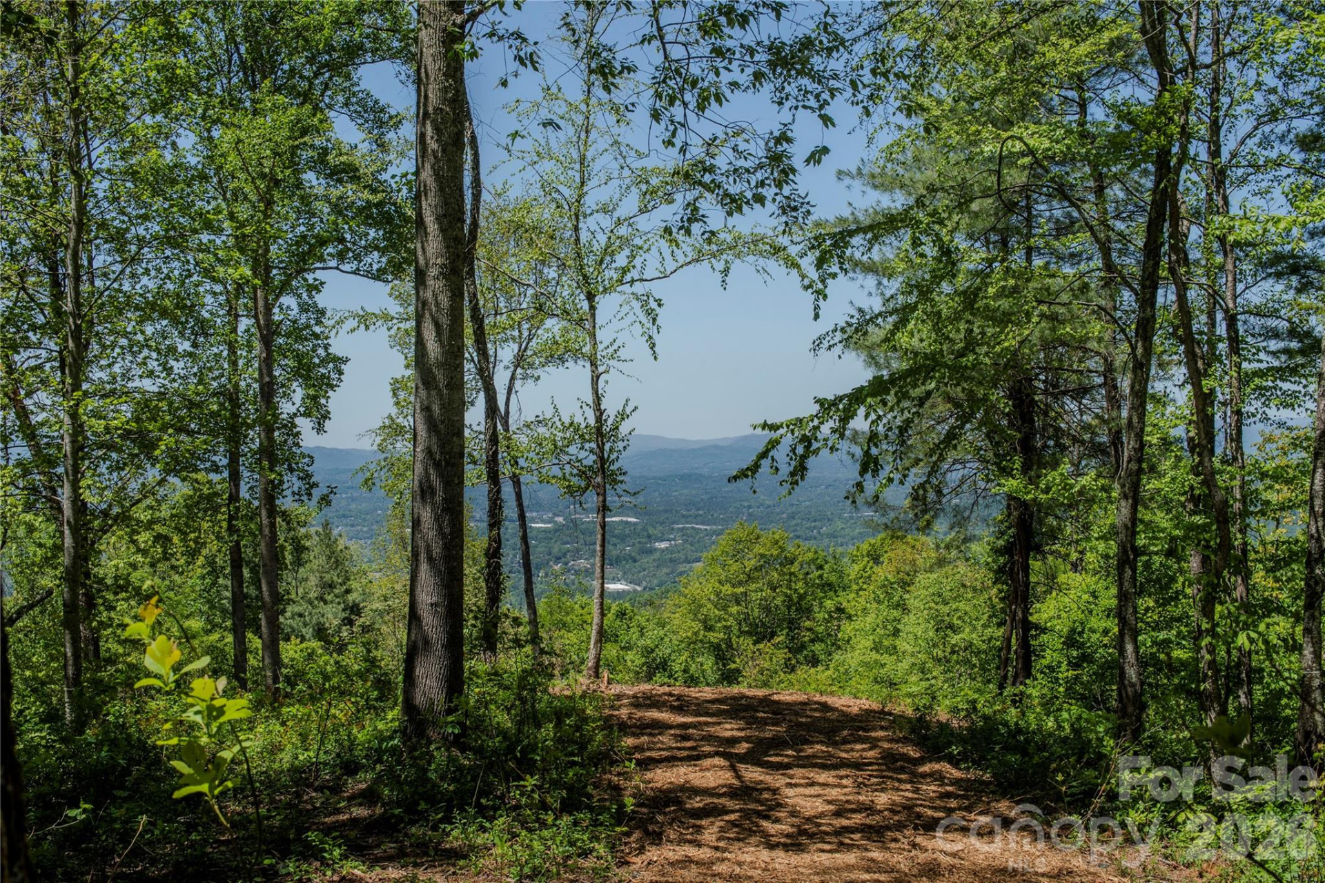 700 Elk Mountain Scenic Highway - Photo 8
