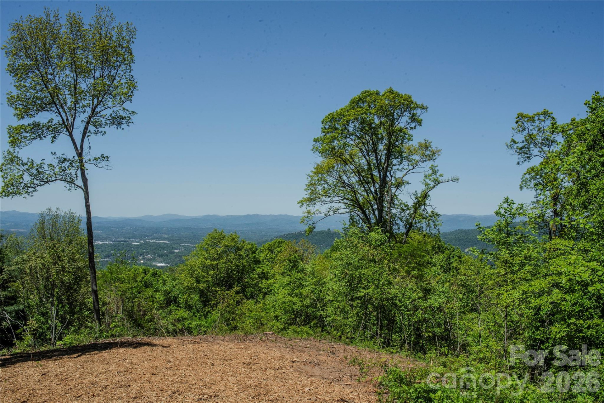 700 Elk Mountain Scenic Highway - Photo 9