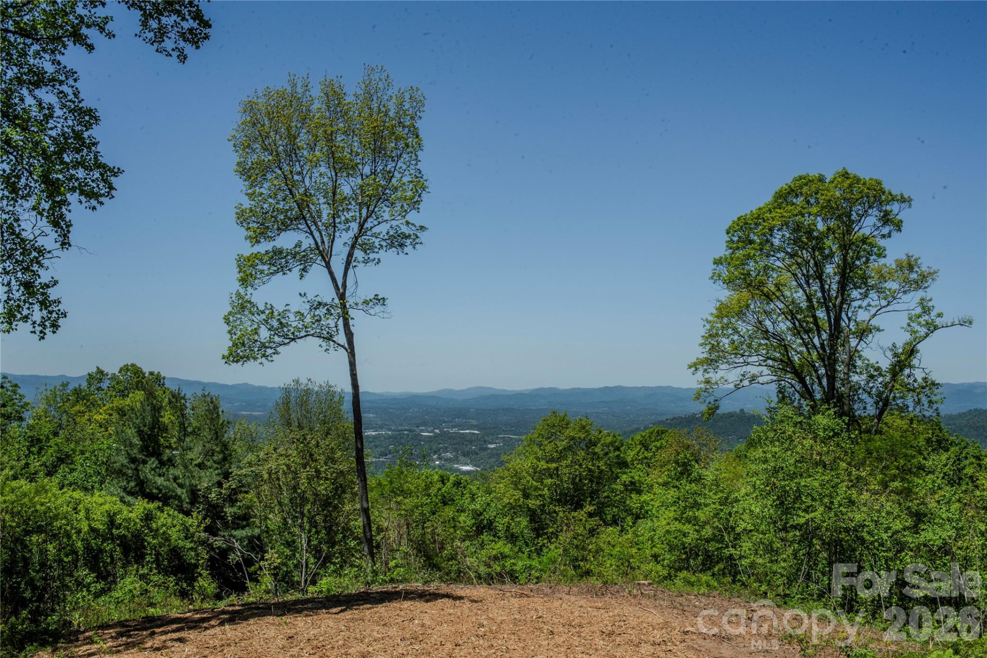700 Elk Mountain Scenic Highway - Photo 10