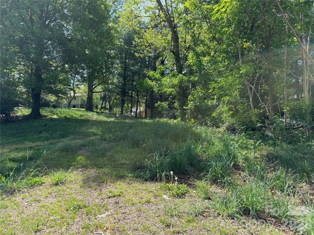 Lot 108 Mace Avenue, Asheville, NC, 28806
