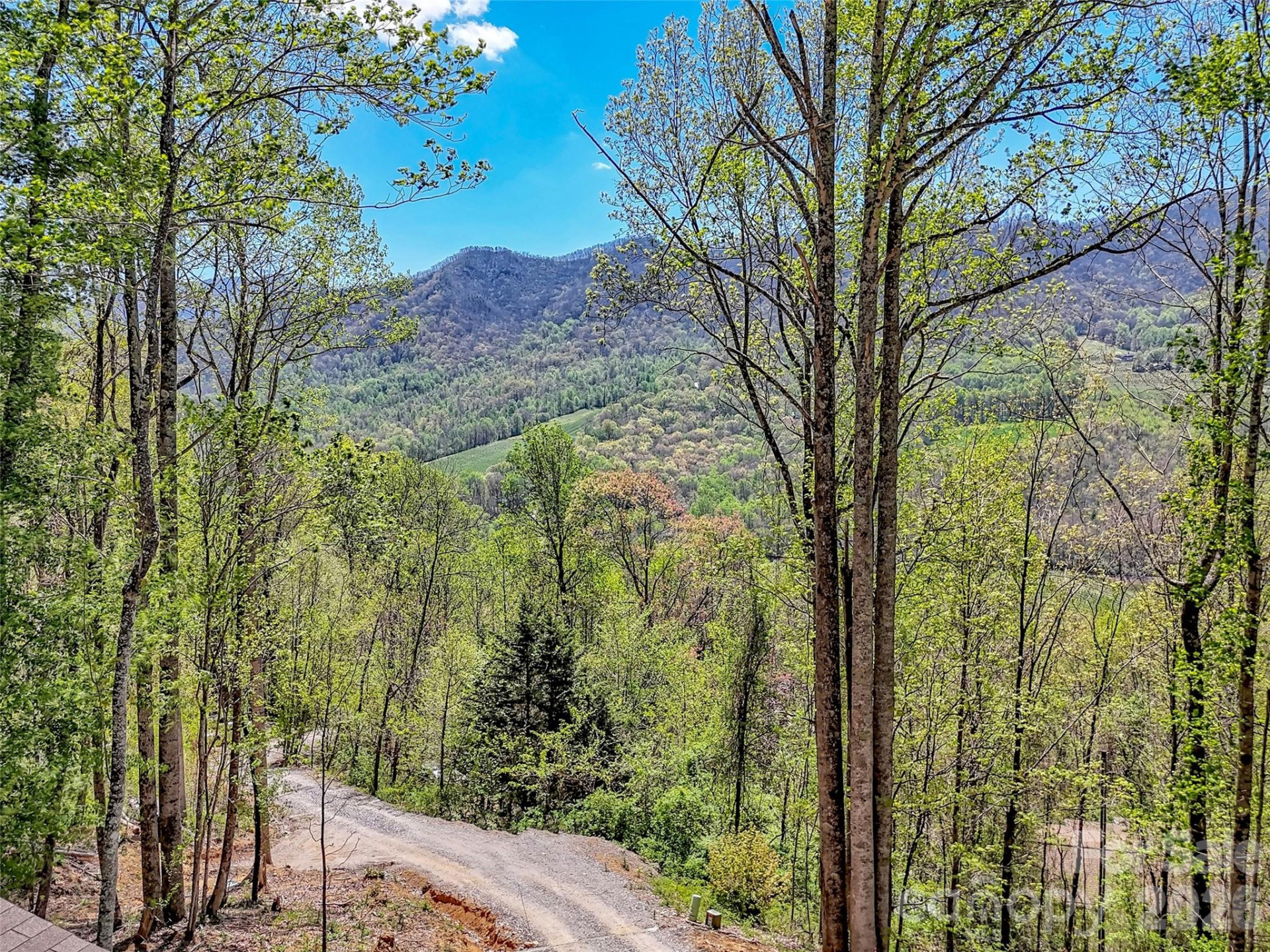 424 Arrington Acres Drive - Photo 29