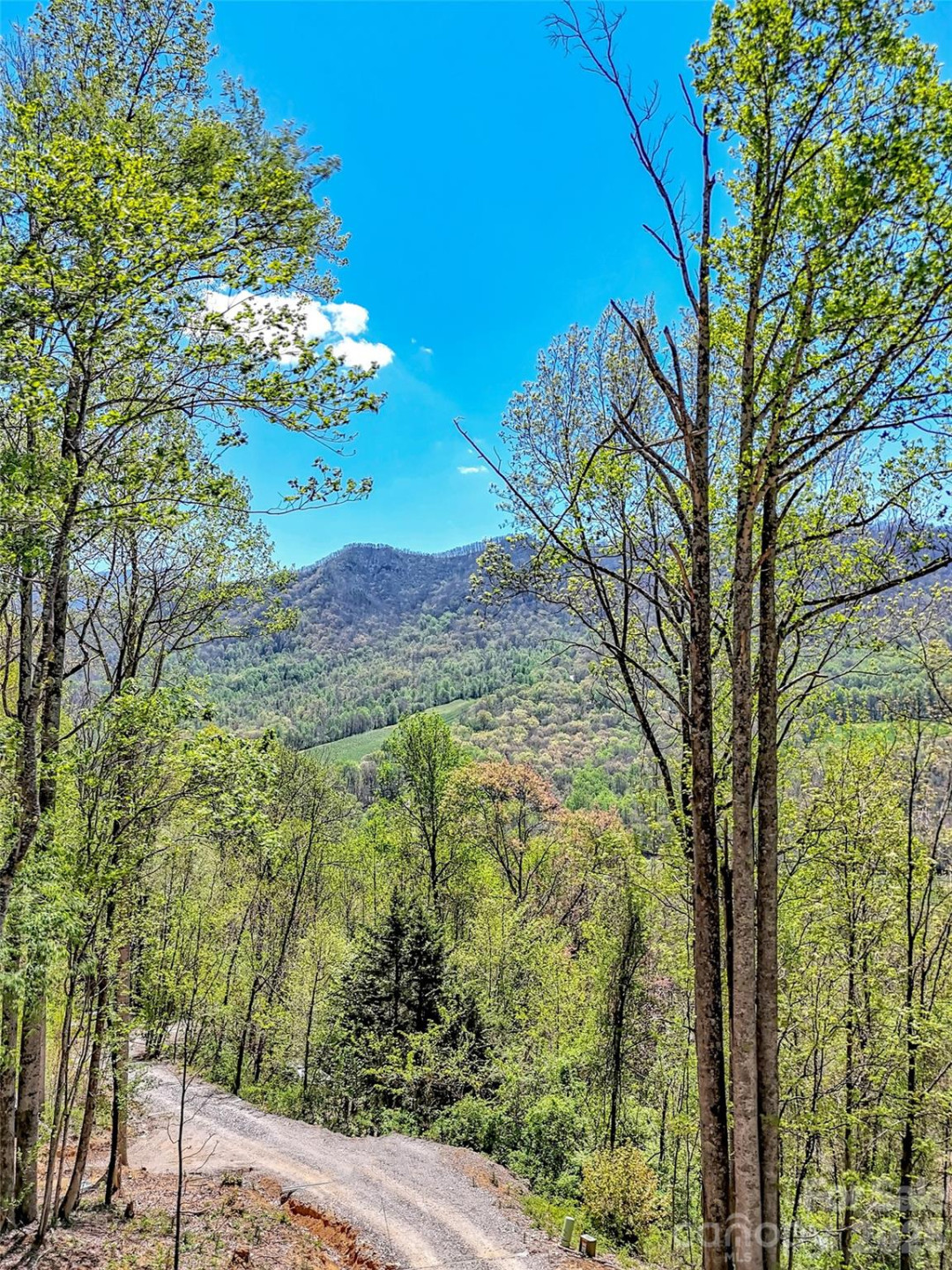 424 Arrington Acres Drive - Photo 30