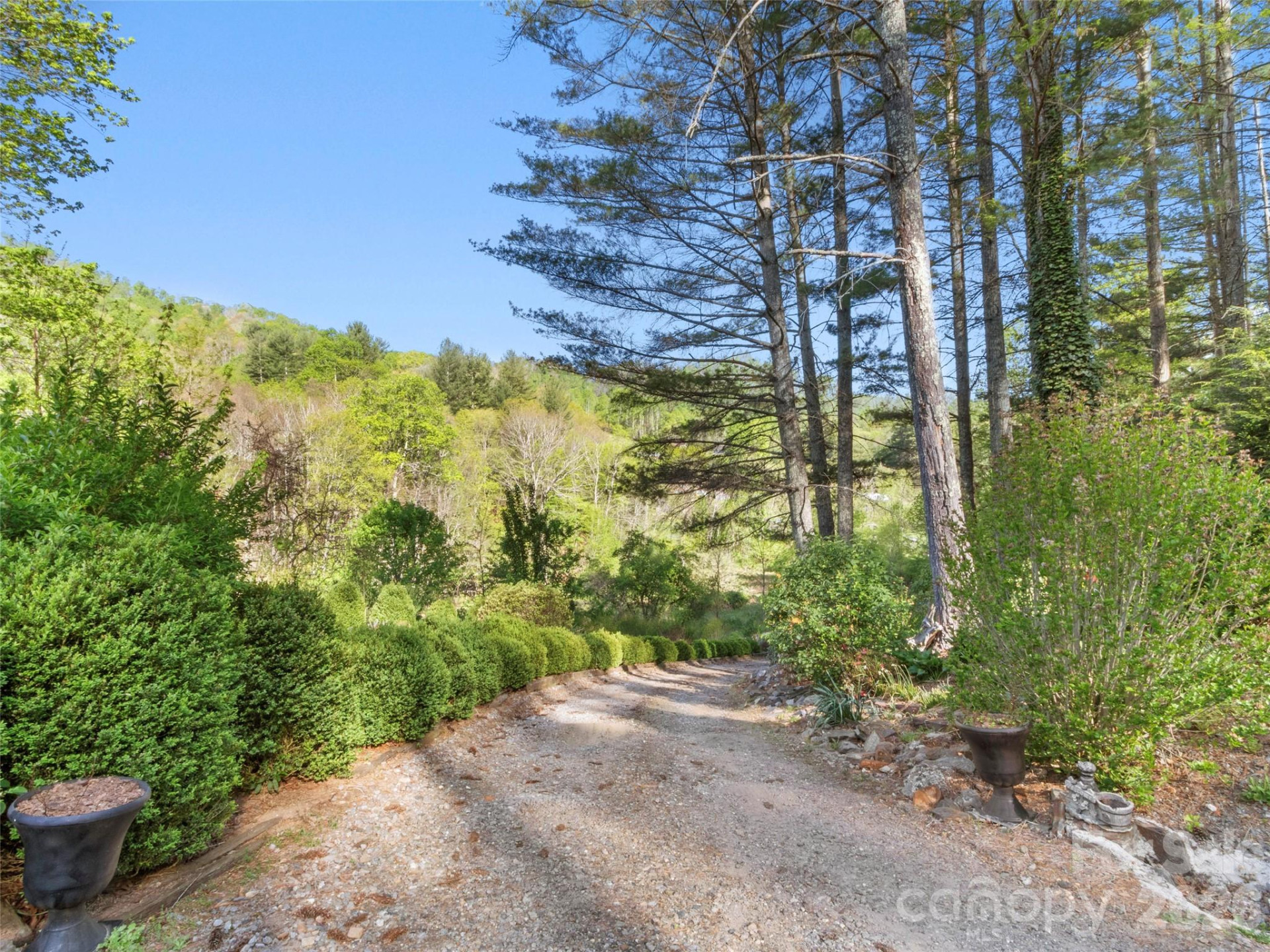 1270 Old Mine Fork Road - Photo 7