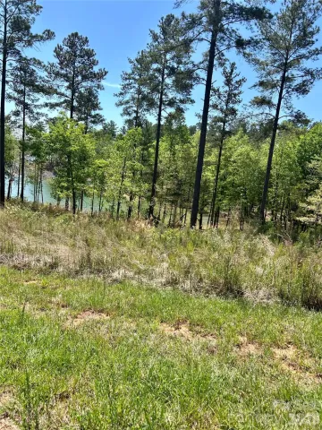 2960 Jumping Run, Connelly Springs, NC, 28612