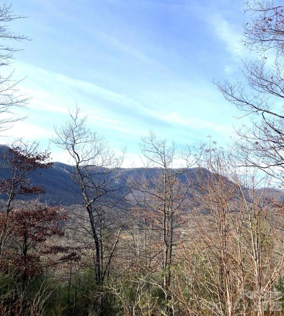 Lot 51A Wilderness Drive