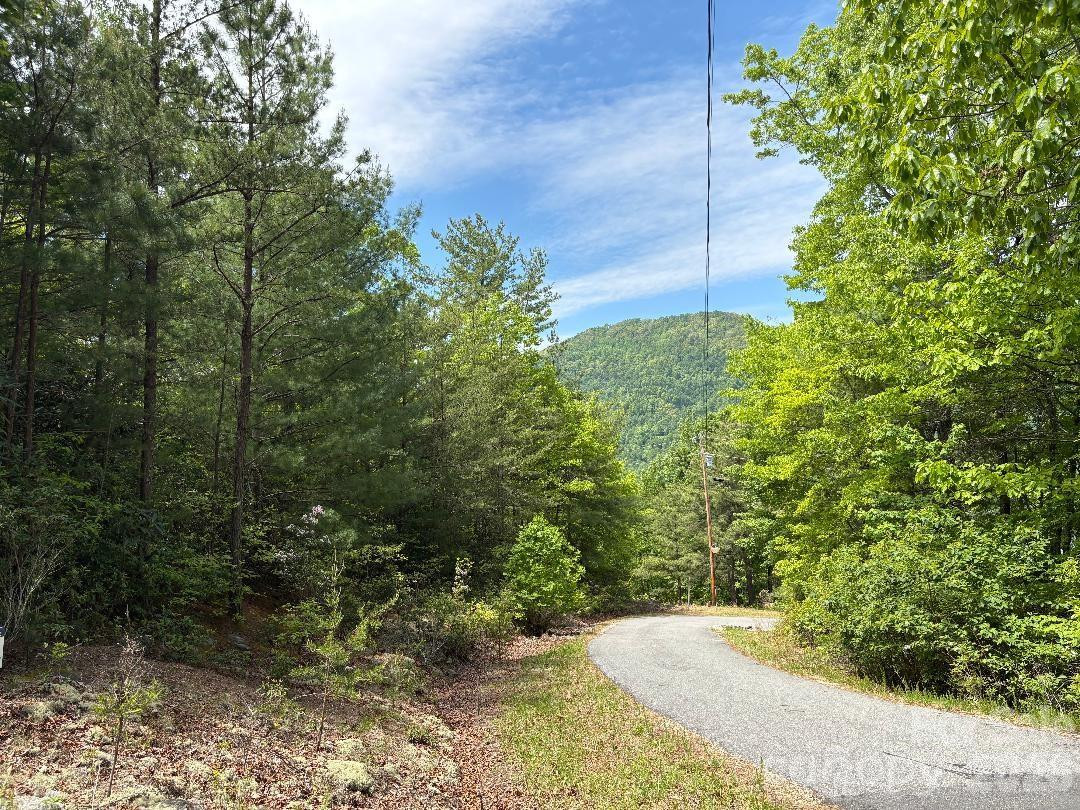 Lot 51A Wilderness Drive - Photo 3