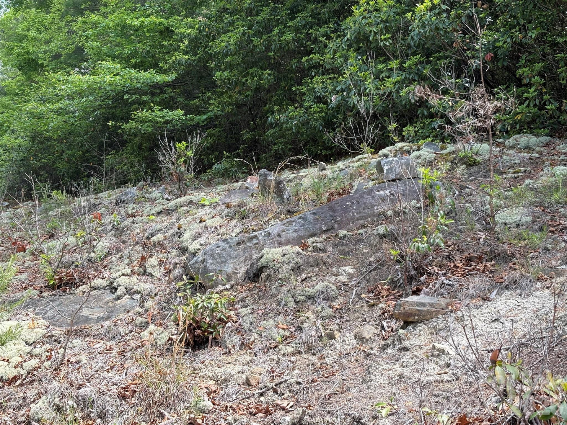 Lot 51A Wilderness Drive - Photo 4