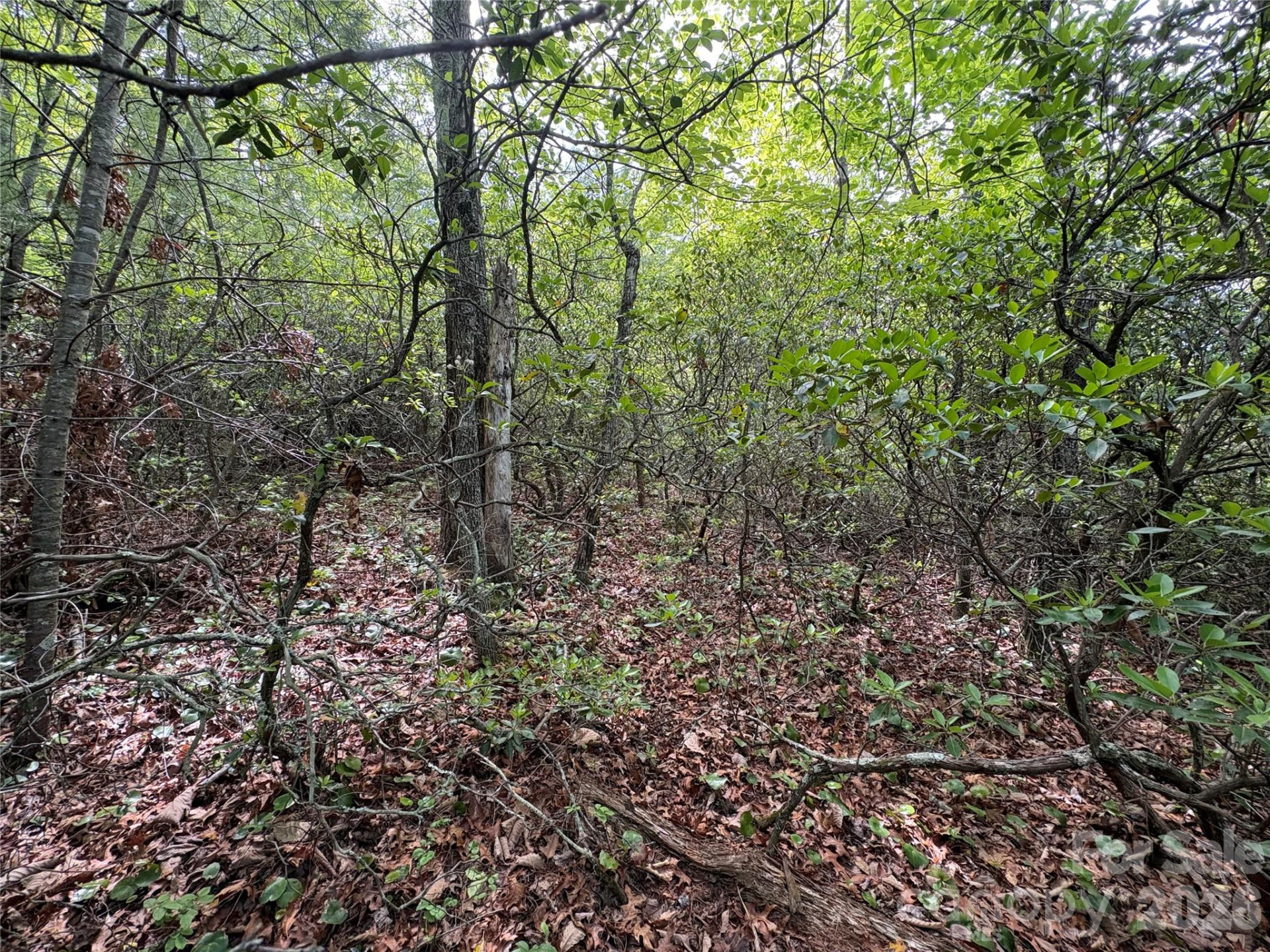 Lot 51A Wilderness Drive - Photo 5