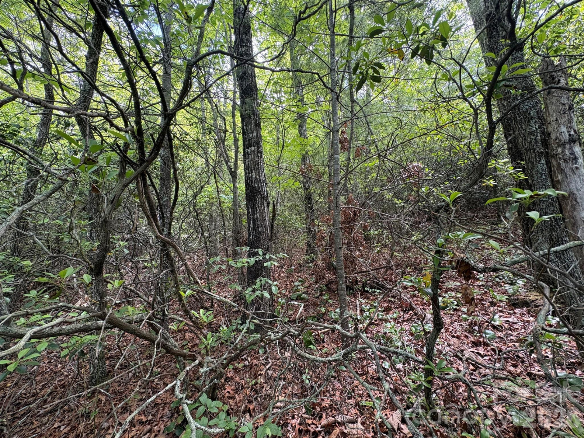 Lot 51A Wilderness Drive - Photo 6