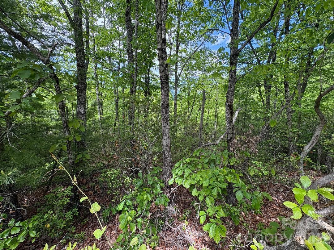Lot 51A Wilderness Drive - Photo 7
