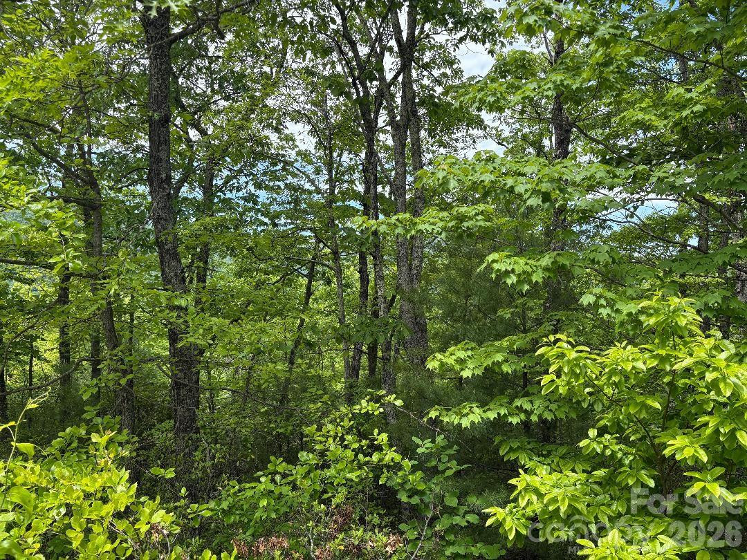 Lot 51A Wilderness Drive - Photo 8