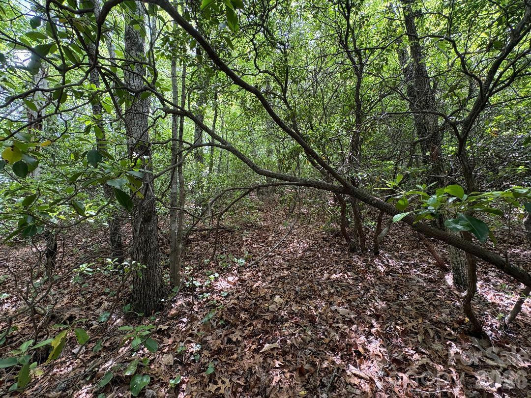 Lot 51B Wilderness Drive - Photo 9