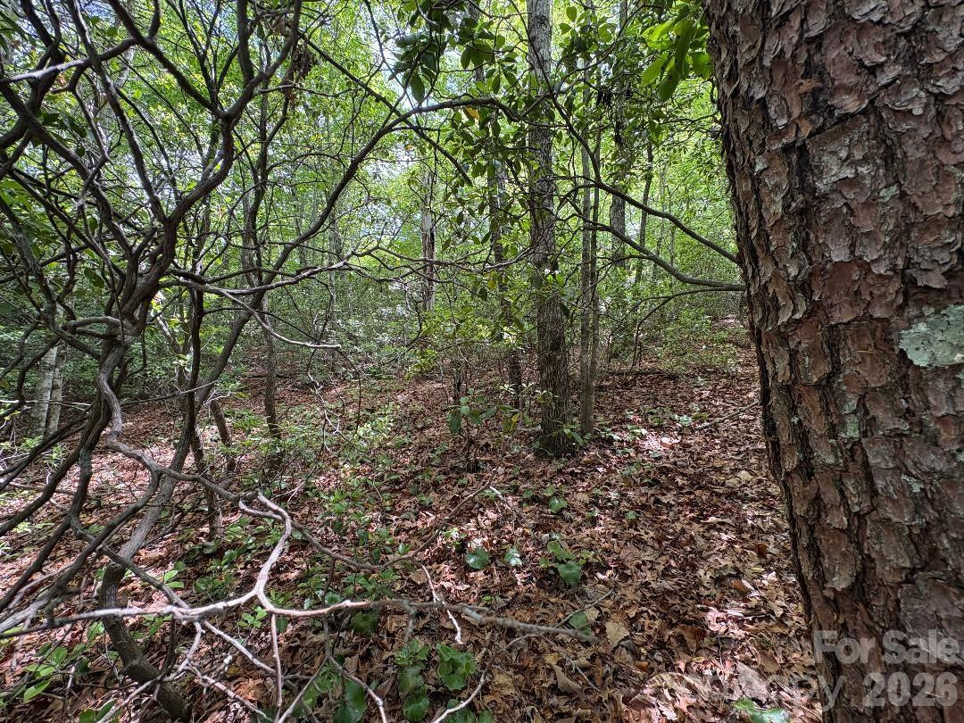 Lot 51B Wilderness Drive - Photo 10