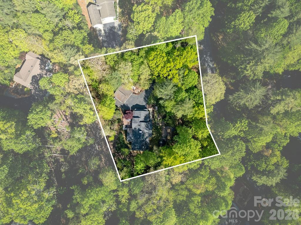 492 Falls Creek Road - Photo 46