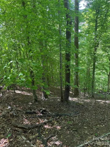0 Creekside Circle, Rutherfordton, NC, 28139