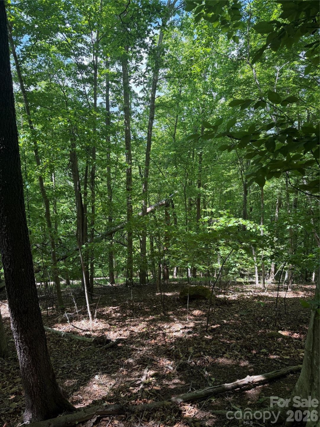 0 Creekside Circle #135 - Photo 2