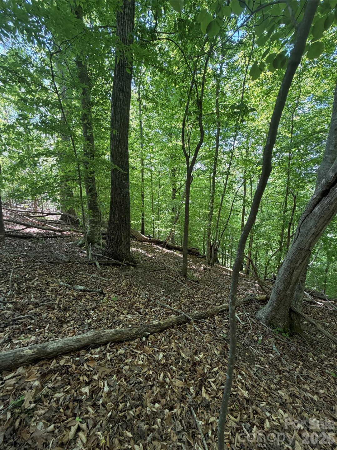 0 Creekside Circle #135 - Photo 11