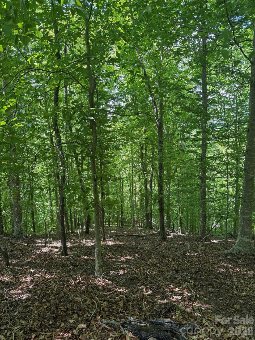 0 Creekside Circle #135 - Photo 13