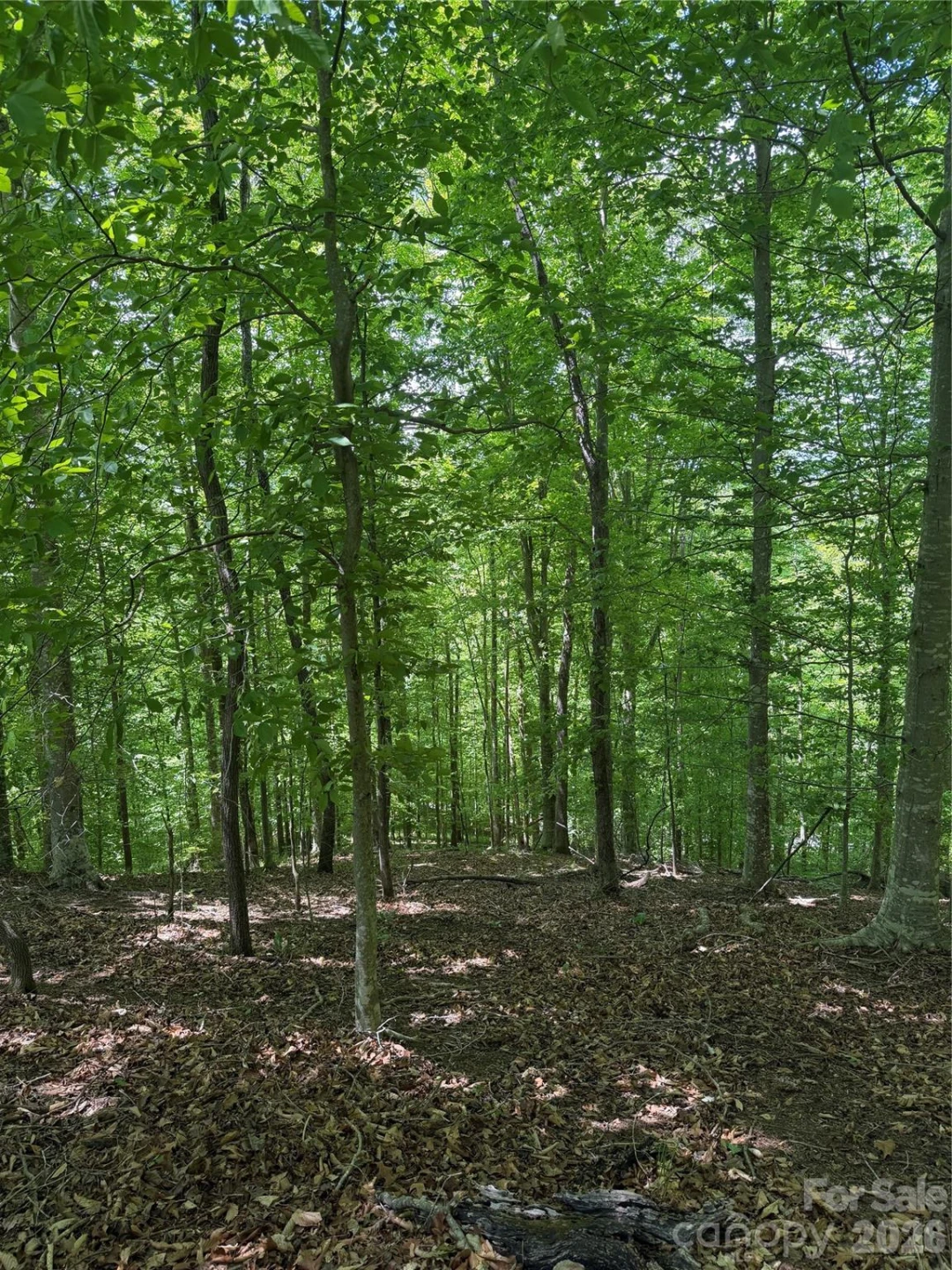 0 Creekside Circle #135 - Photo 13