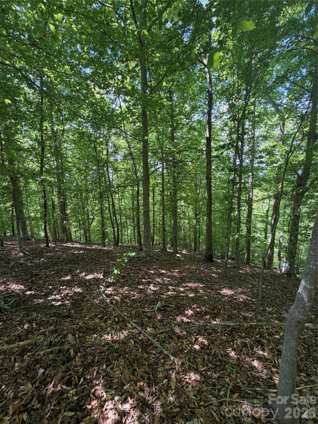 0 Creekside Circle #135 - Photo 14