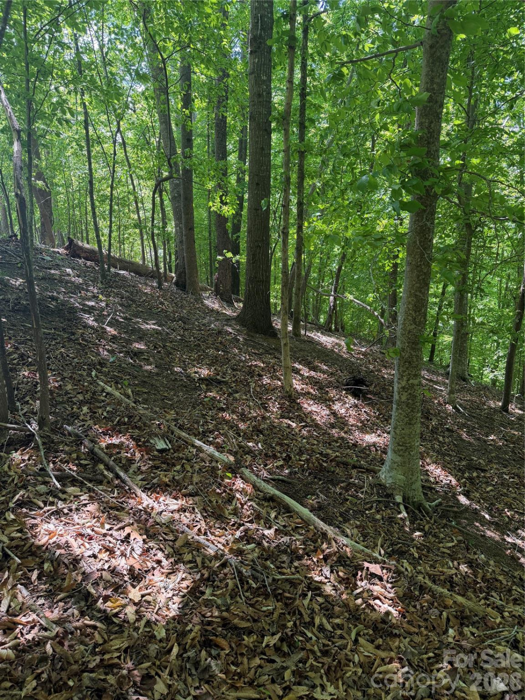 0 Creekside Circle #135 - Photo 15