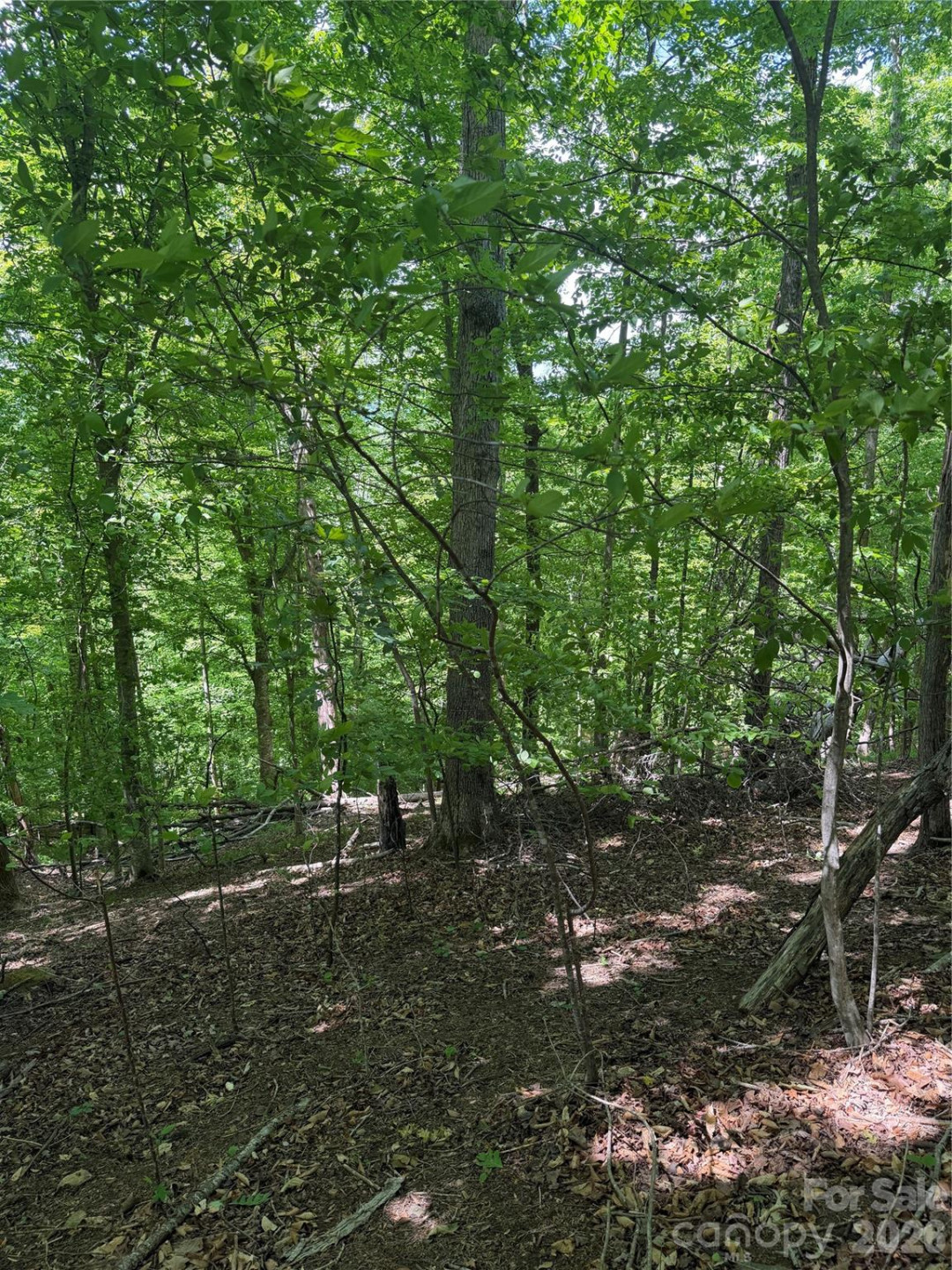 0 Creekside Circle #135 - Photo 16