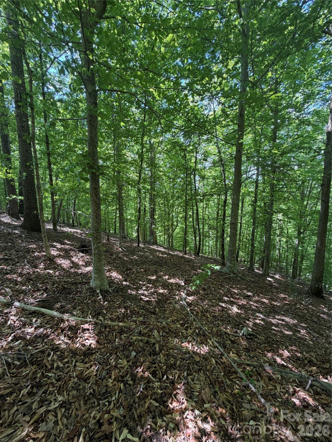 0 Creekside Circle #135 - Photo 17