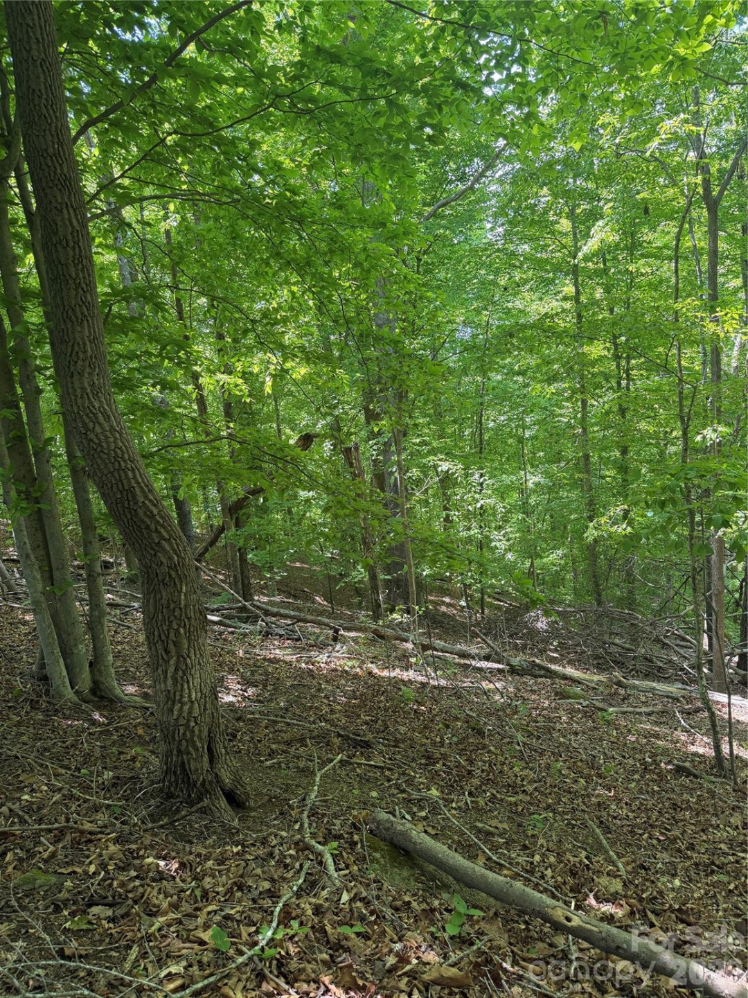 0 Creekside Circle #135 - Photo 18