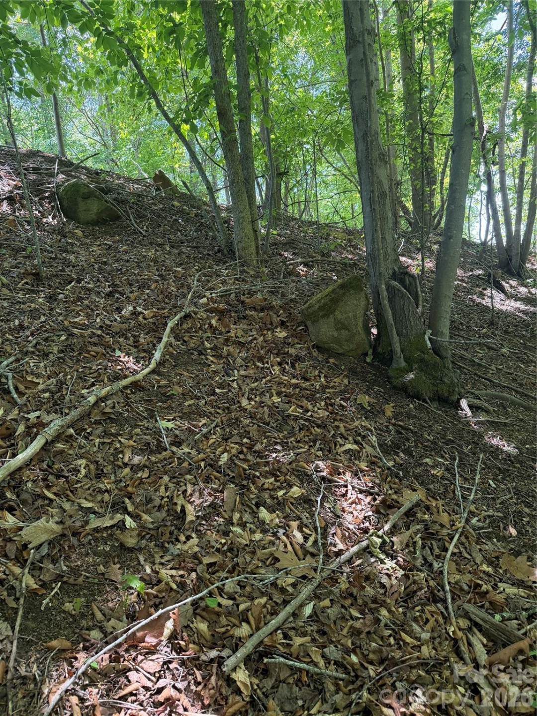 0 Creekside Circle #135 - Photo 19