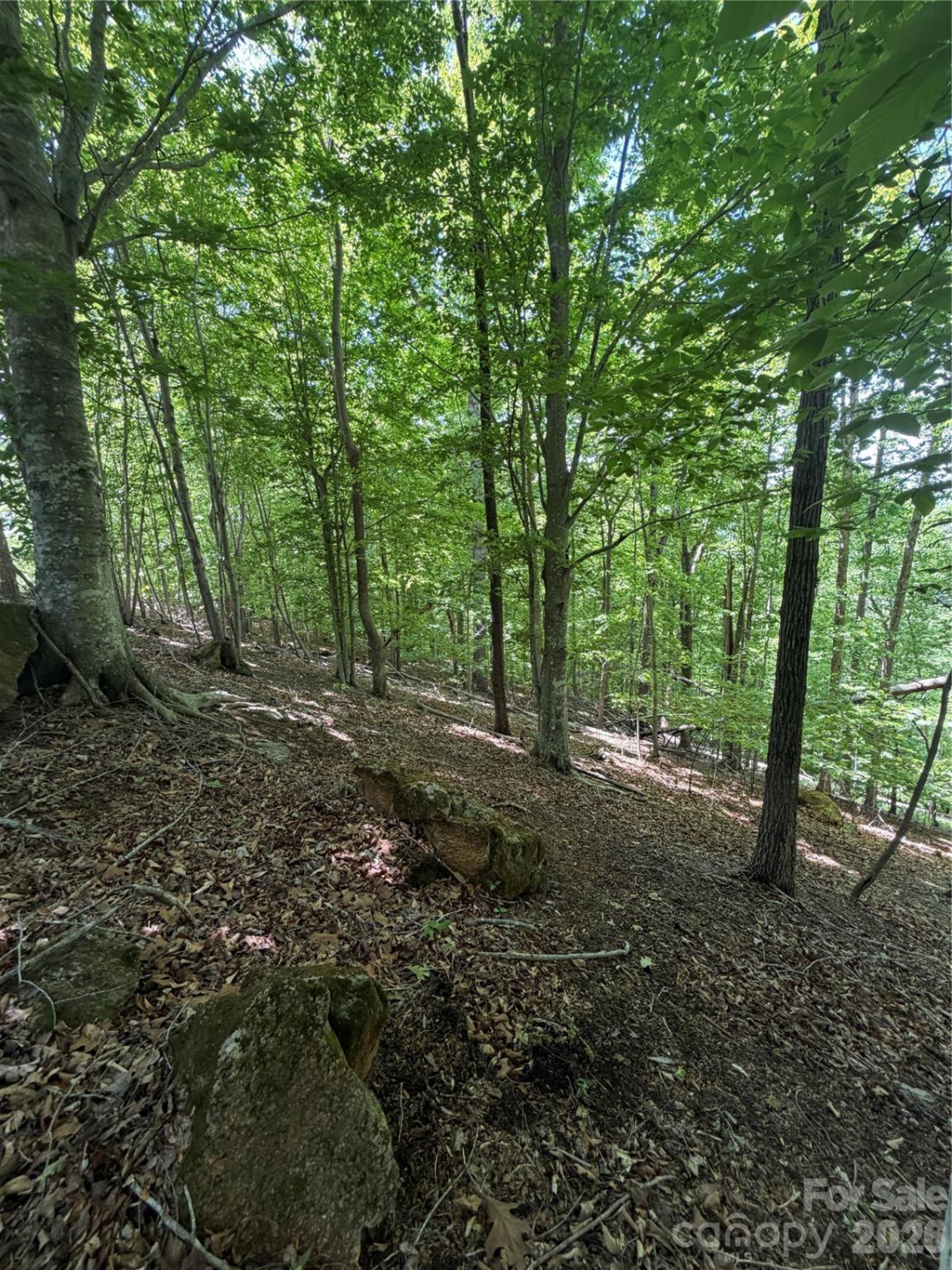 0 Creekside Circle #135 - Photo 20