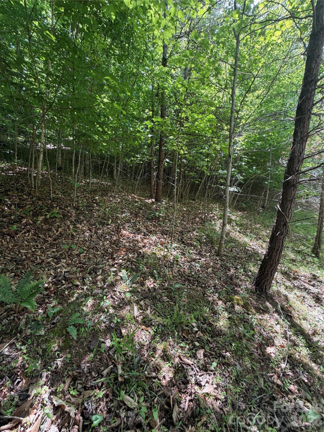 0 Creekside Circle #135 - Photo 3