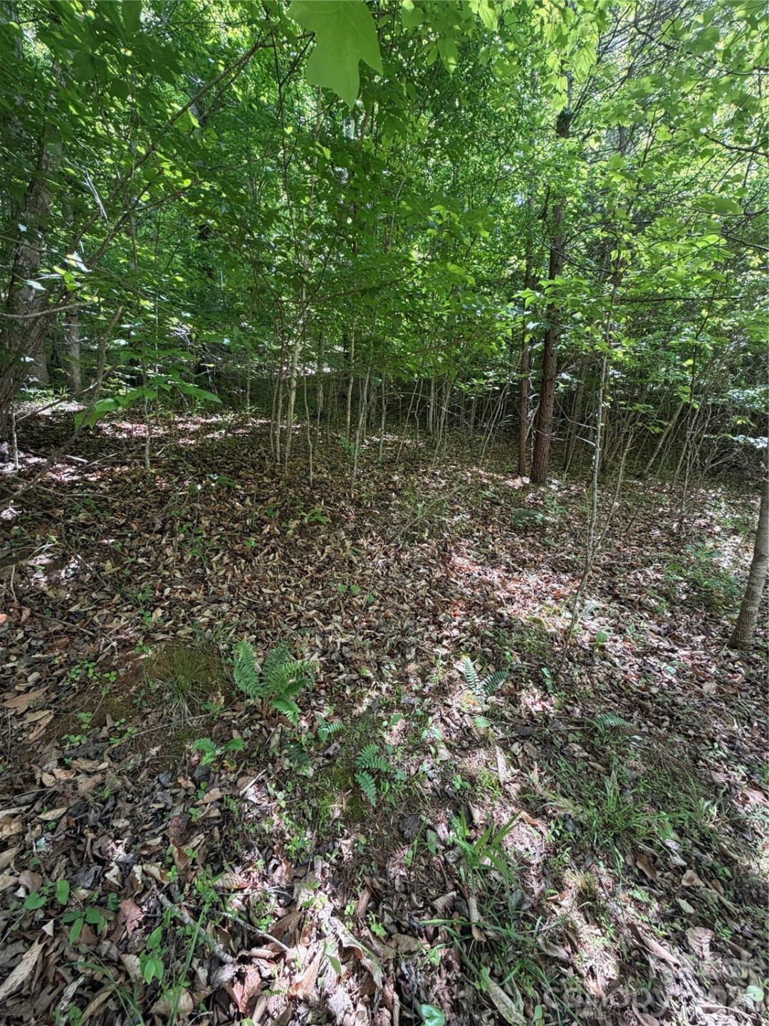 0 Creekside Circle #135 - Photo 4