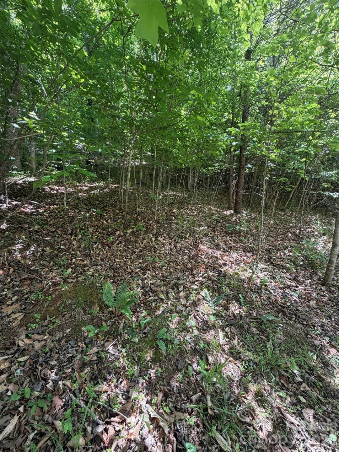 0 Creekside Circle #135 - Photo 4