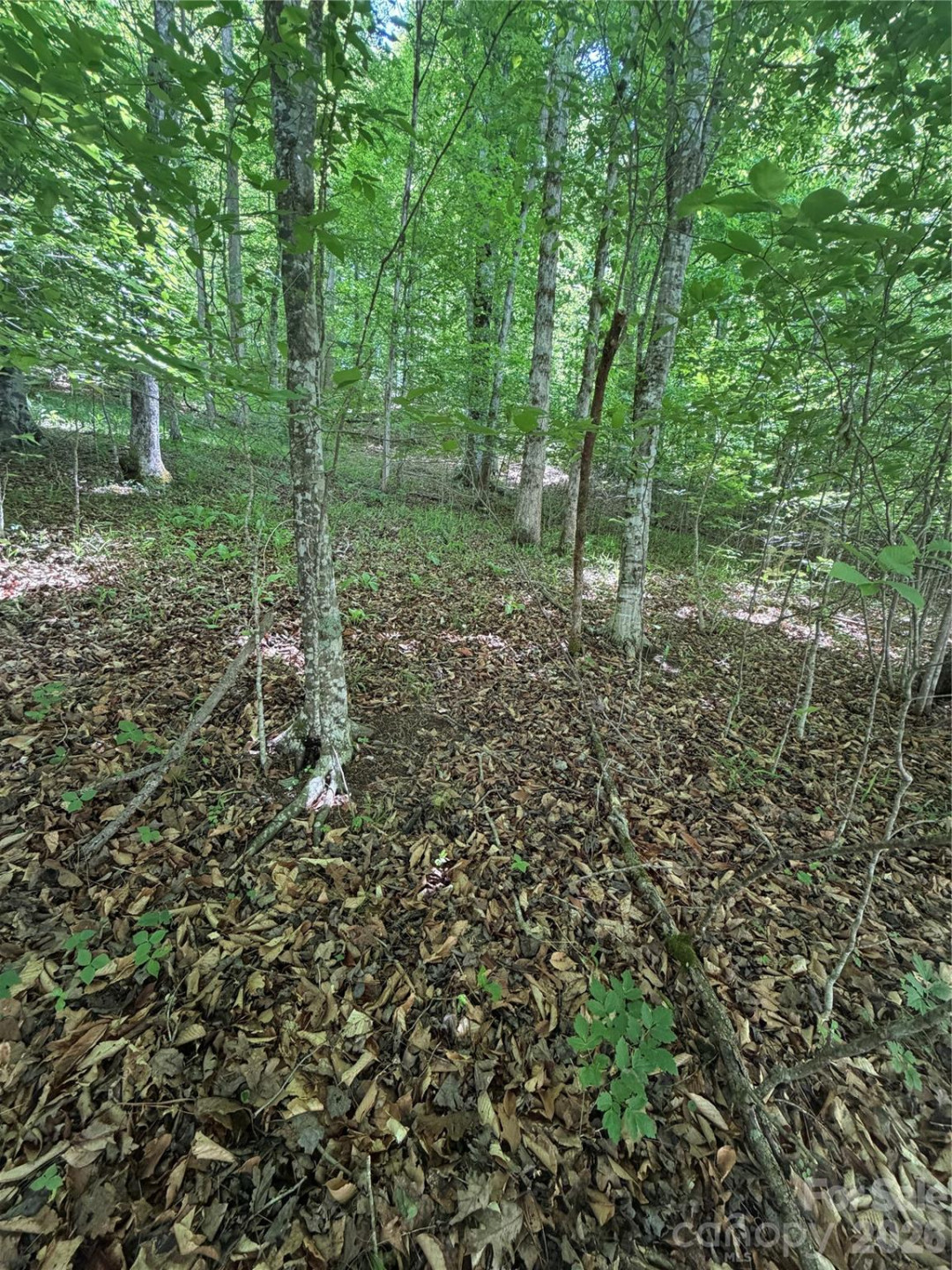 0 Creekside Circle #135 - Photo 5