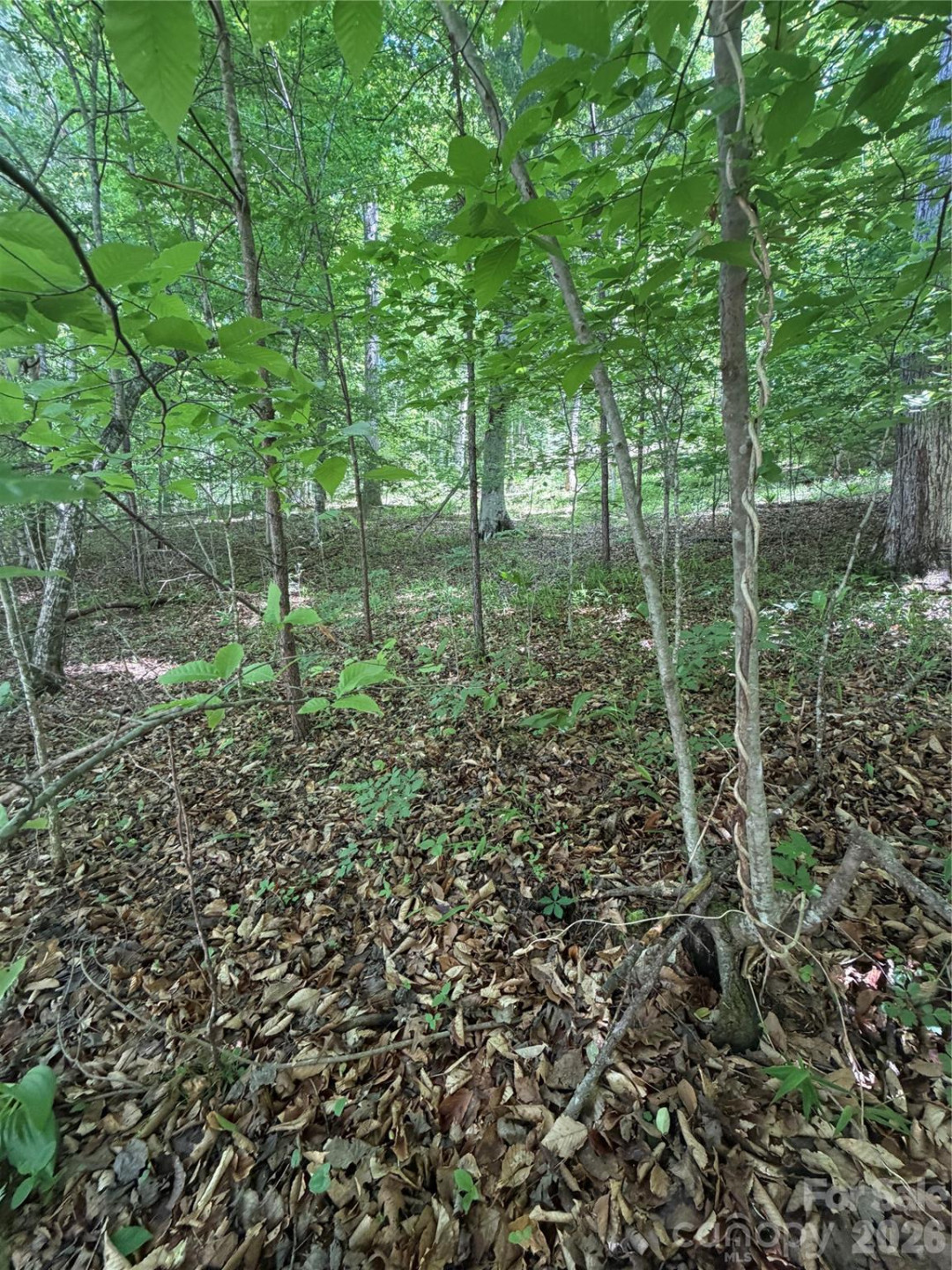 0 Creekside Circle #135 - Photo 6