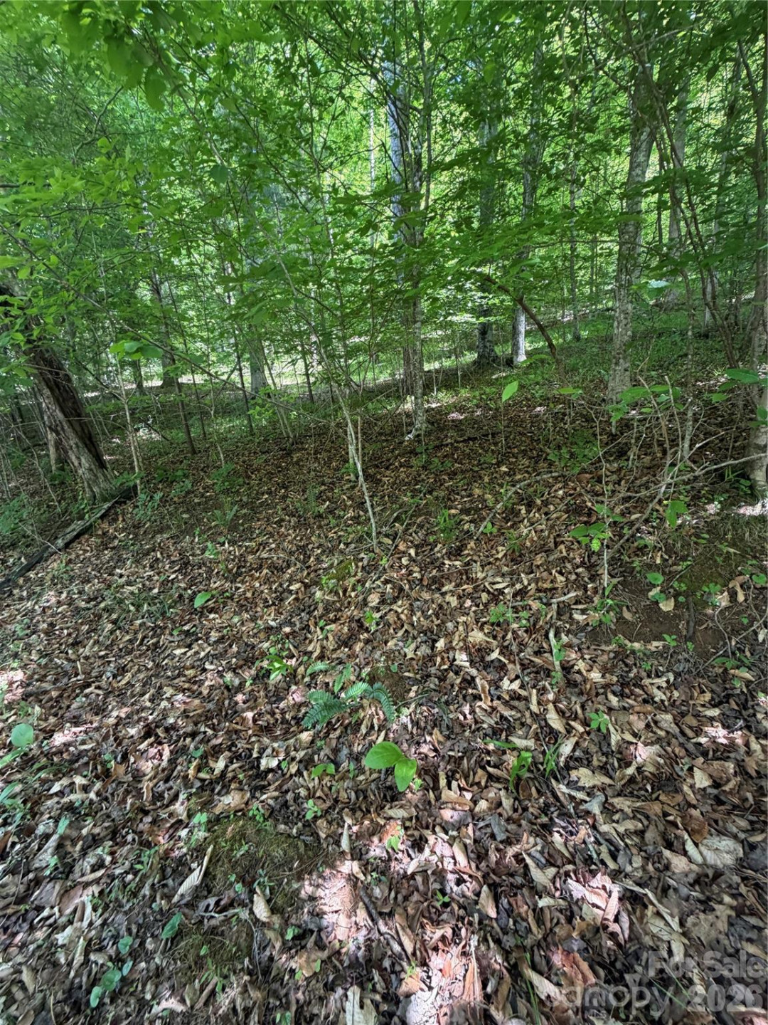 0 Creekside Circle #135 - Photo 7