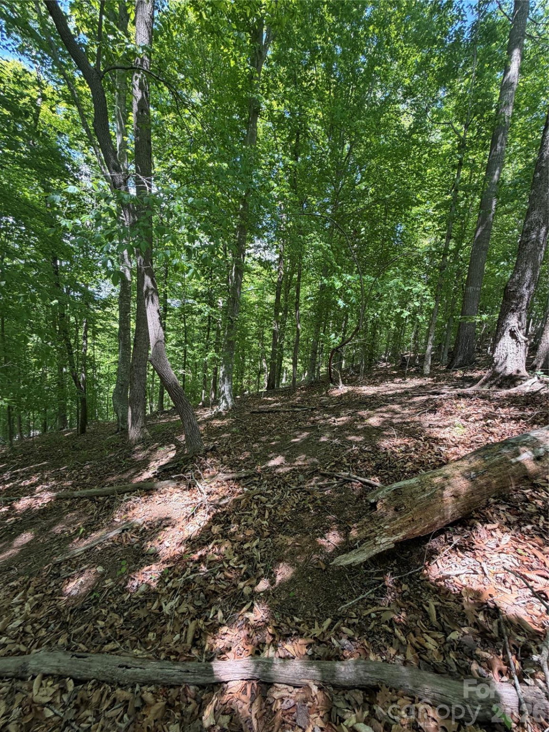 0 Creekside Circle #135 - Photo 8