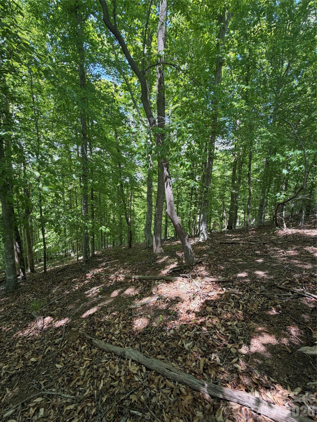 0 Creekside Circle #135 - Photo 9