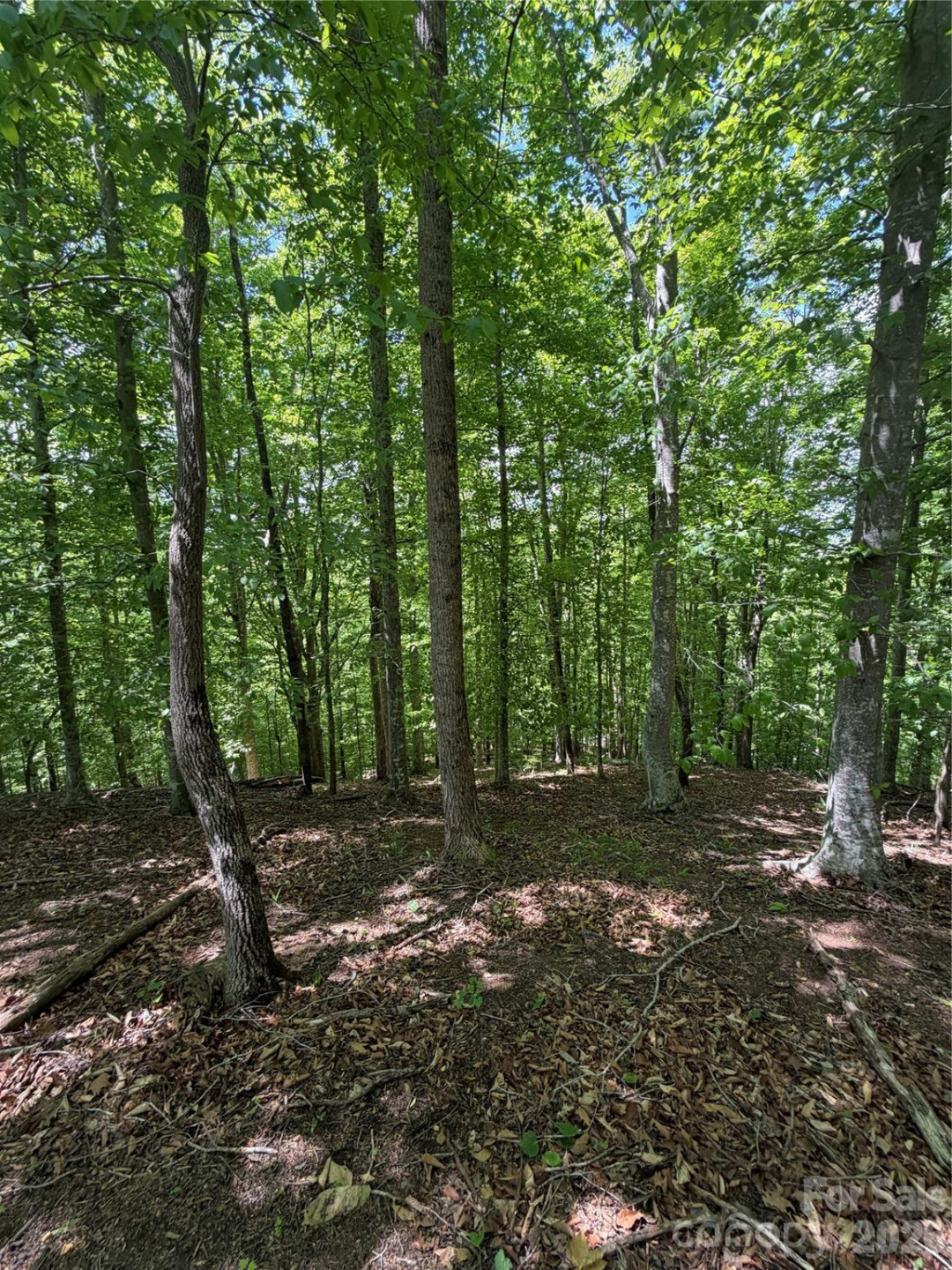 0 Creekside Circle #135 - Photo 10