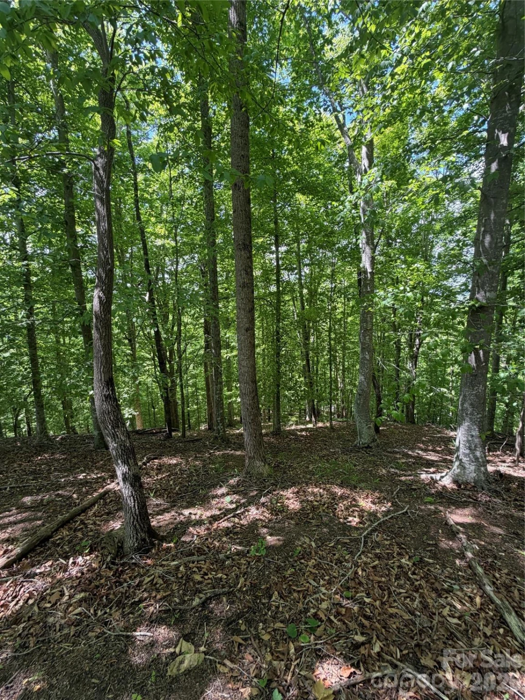0 Creekside Circle #135 - Photo 10