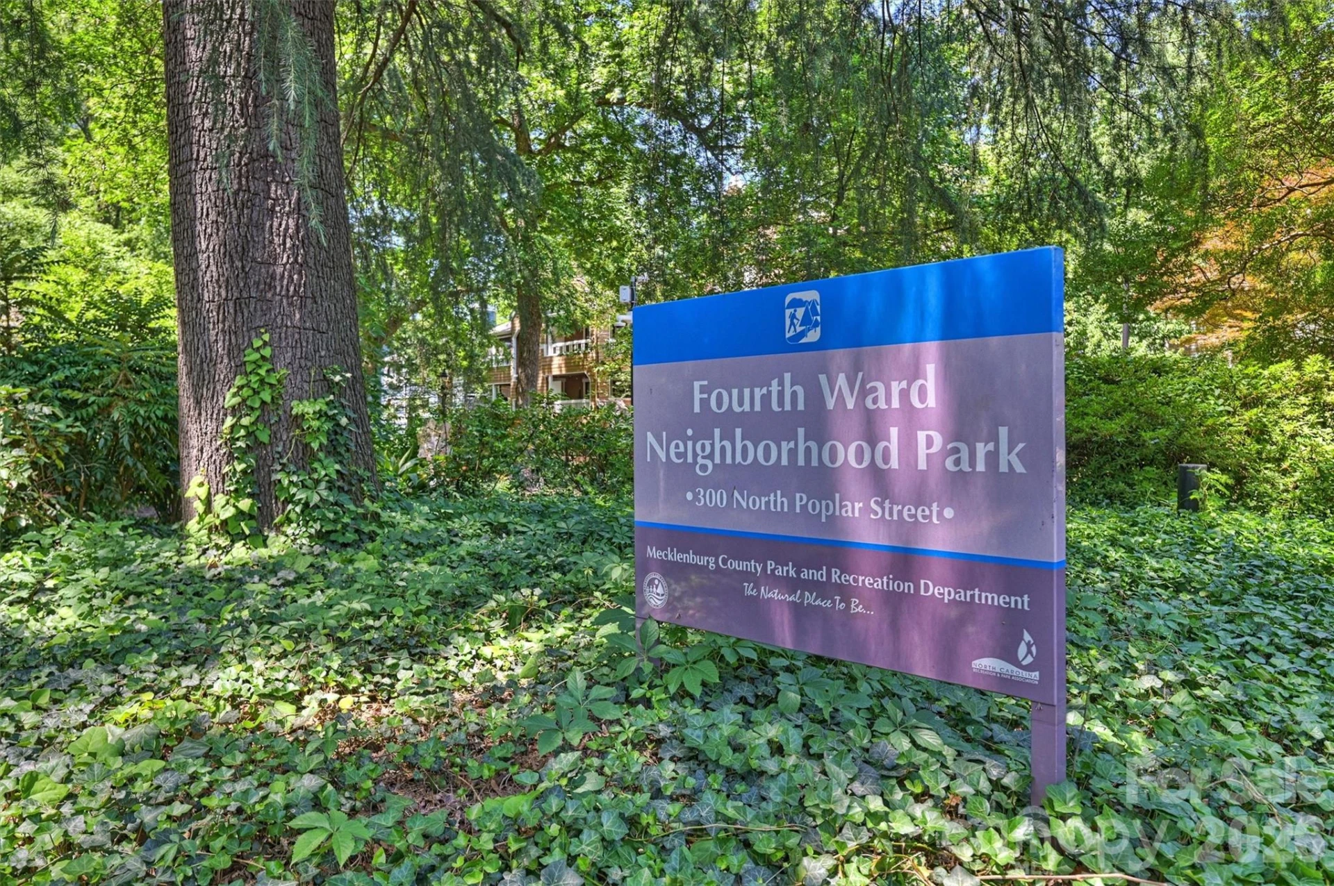 520 Poplar Street #I - Photo 47