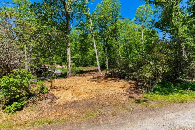 99999 Meeks Road, Black Mountain, NC, 28711