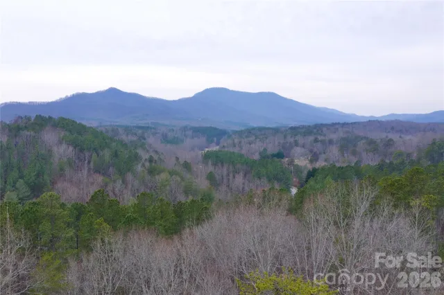 1140 Hwy 9 Highway, Mill Spring, NC, 28756