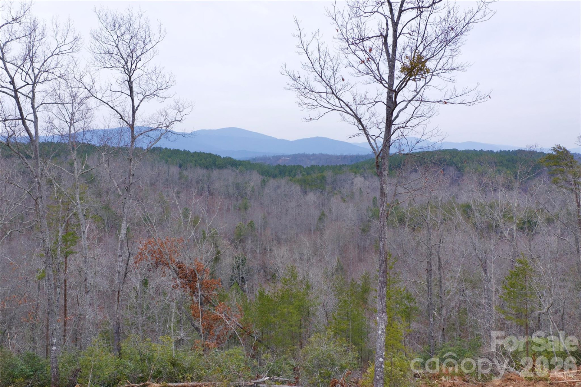 1140 Hwy 9 Highway - Photo 13